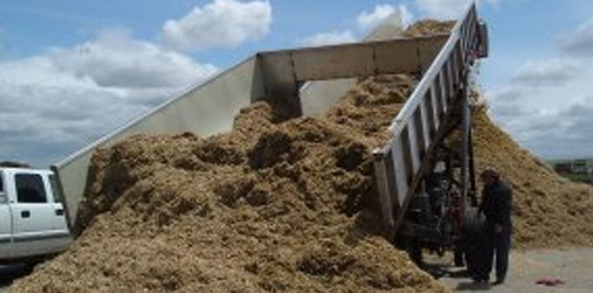 Elevator/Pilers